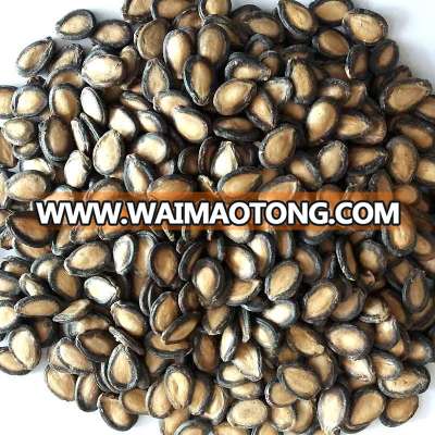 Black Melon Seeds/ Water Melon Seeds